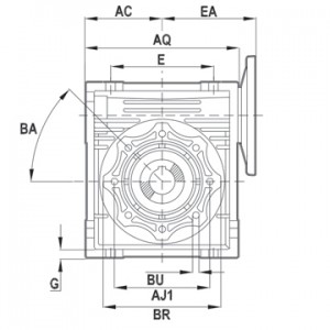 BridgitalGear1