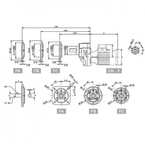 BridgitalGear2