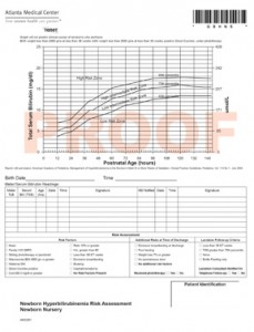 BridgitalMedForm3