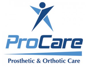 BridgitalProcareLogo